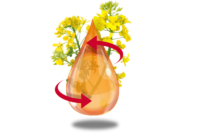 Werking van glycerol Werking van glycerol