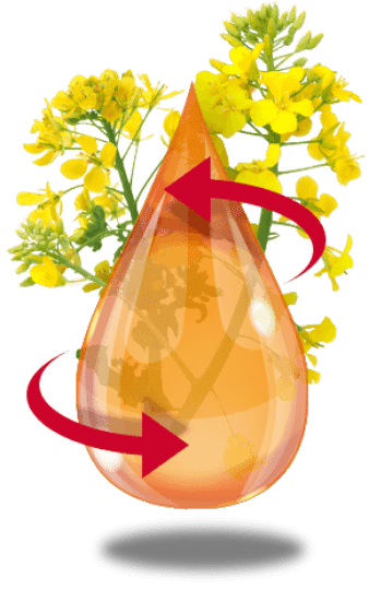 Illustration du glycérol Illustration du glycérol