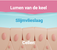 normale toestand normale toestand